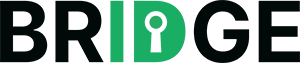 the bridge project main logo